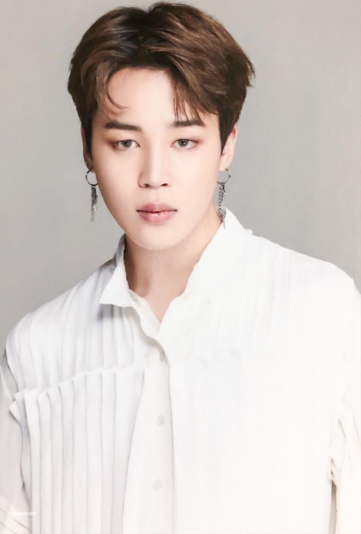 Fan Jimin (BTS) quyết chơi lớn, thiết kế cả chiếc máy bay có hình nam thần tượng Ảnh 5