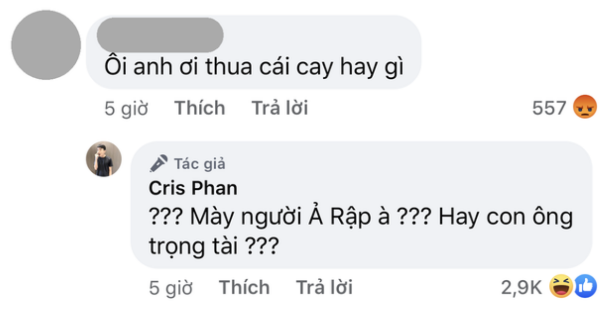 Sau phát ngôn kém duyên về trọng tài trong trận Việt Nam - Saudi Arabia, Cris Phan lên tiếng xin lỗi Ảnh 3