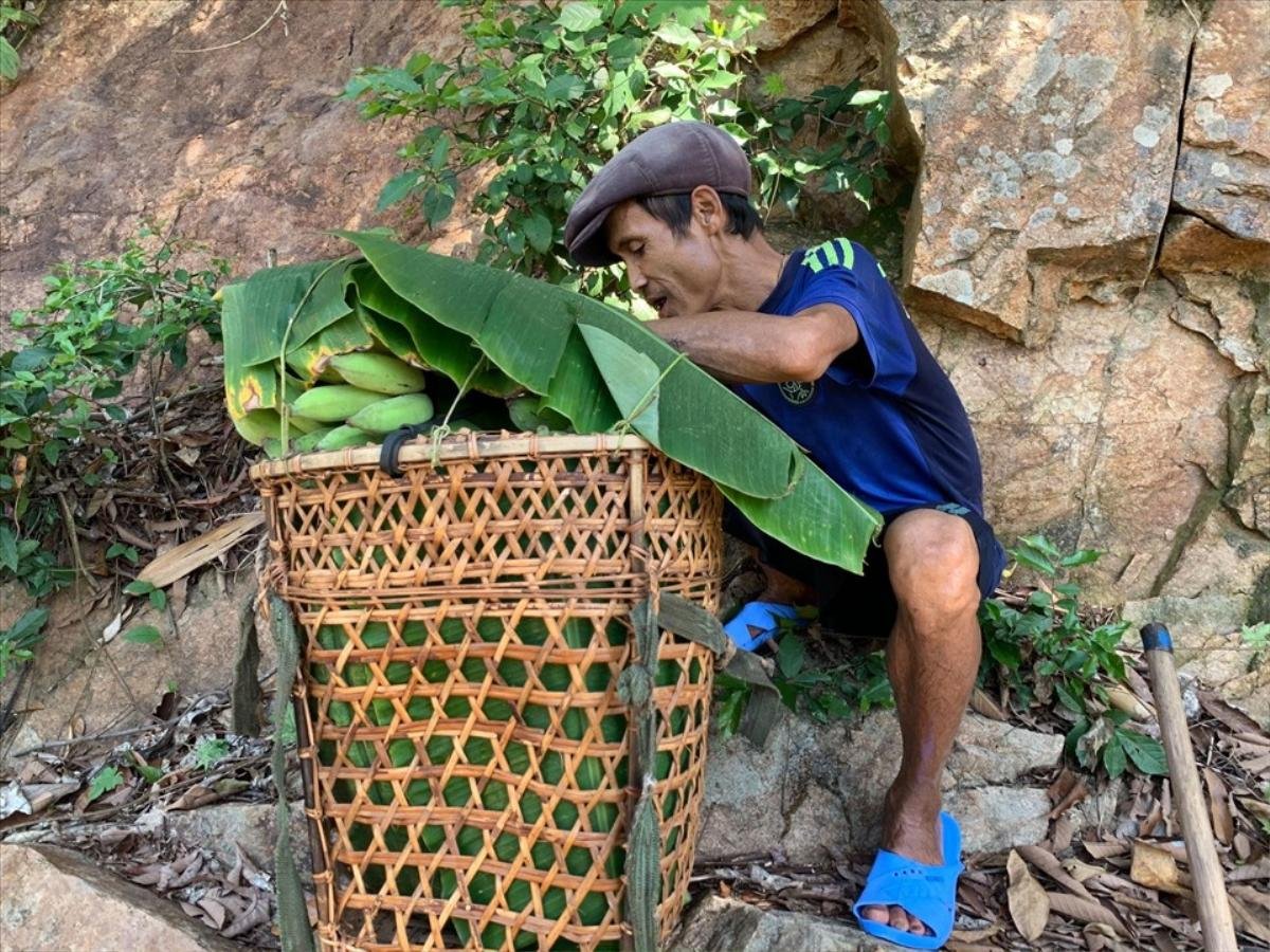 Cuộc sống của 'người rừng' Hồ Văn Lang trước khi qua đời vì ung thư Ảnh 2