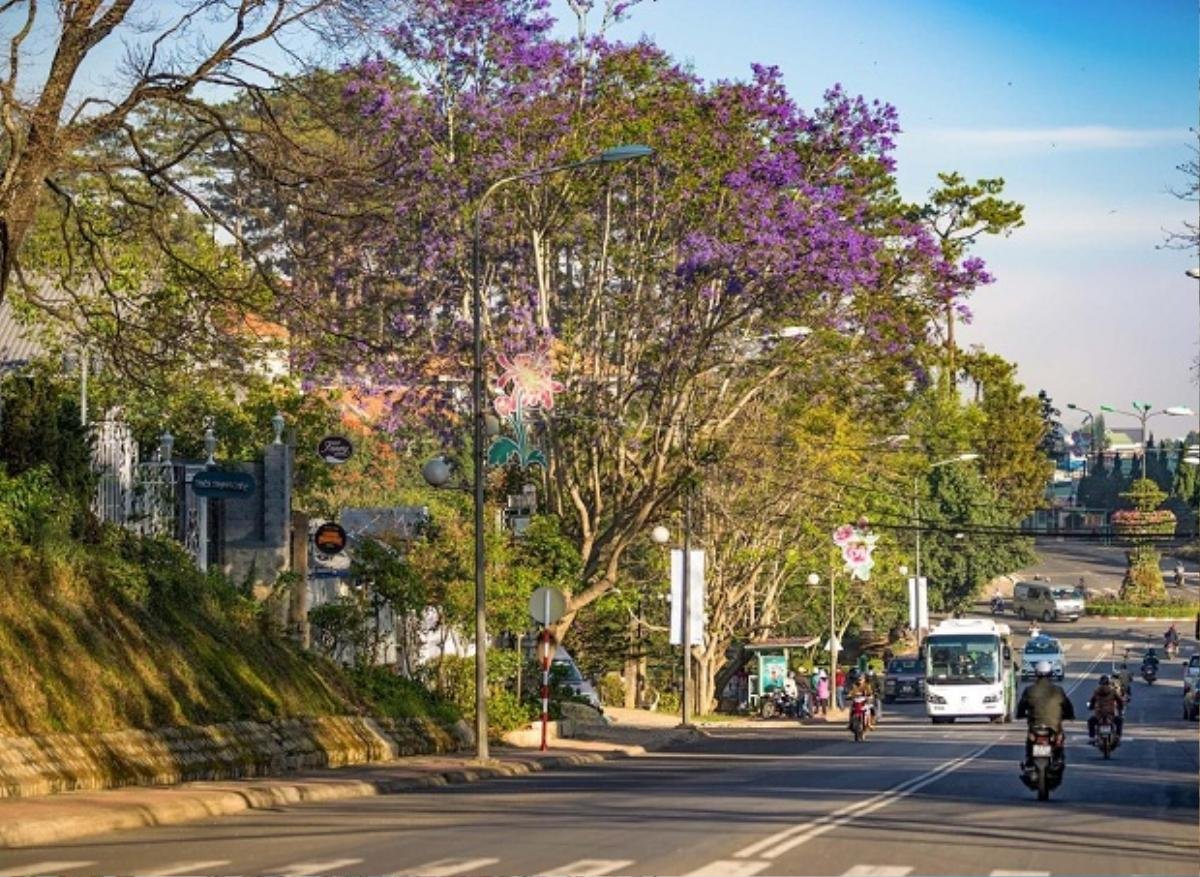 Đà Lạt mở lại quán ăn uống, dịch vụ làm đẹp, du lịch nội tỉnh... kể từ 17h ngày 8/9 Ảnh 1