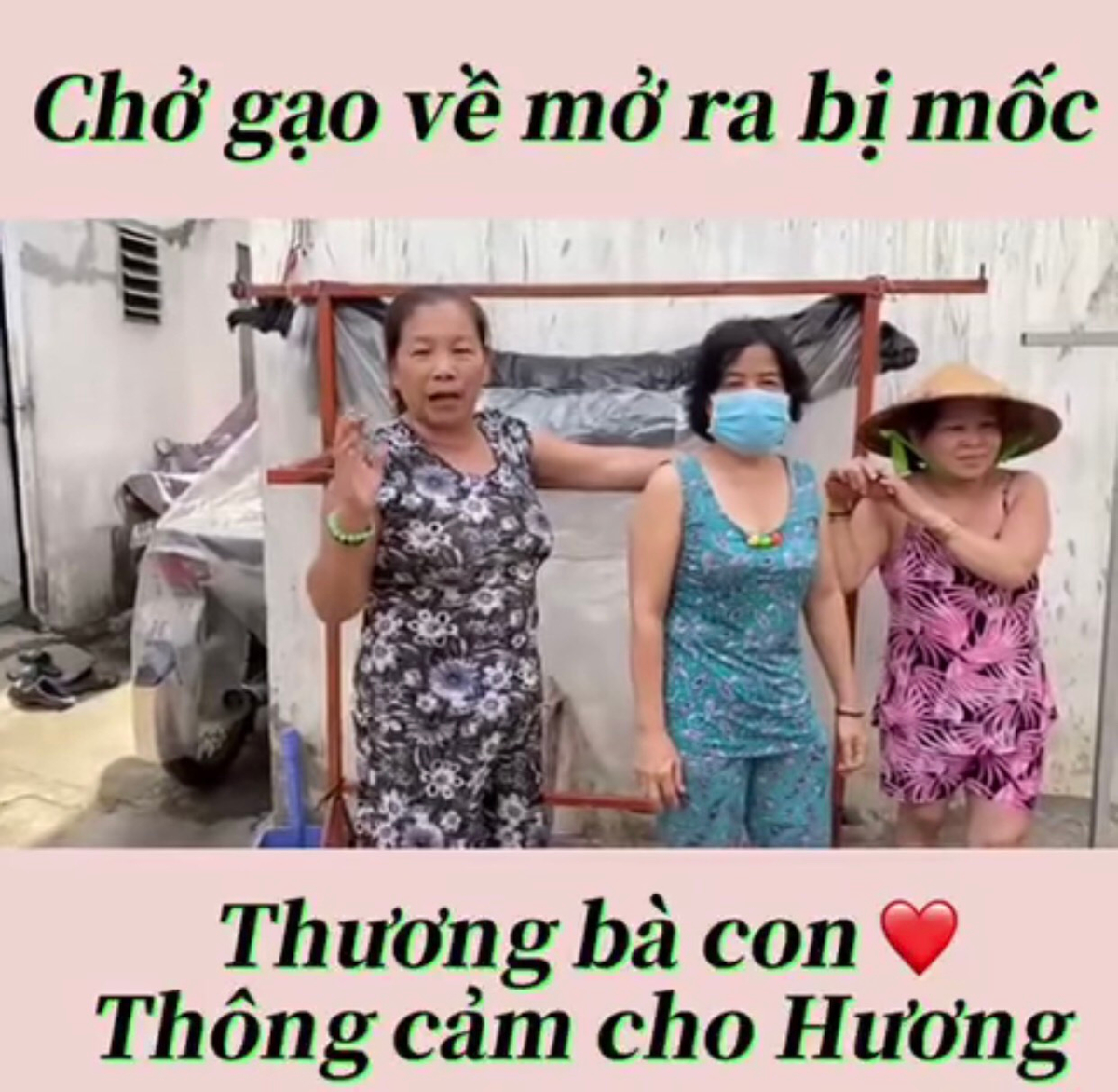 Xúc động clip bà con động viên Việt Hương vì lỡ phát gạo mốc: 'Tụi em mang ơn dữ lắm' Ảnh 2