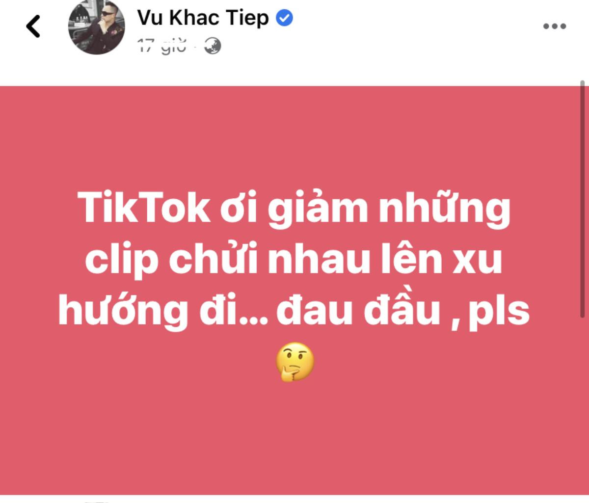 Lệ Quyên hé lộ lý do không dùng Tiktok, netizen tung bằng chứng 'phản lại'? Ảnh 2