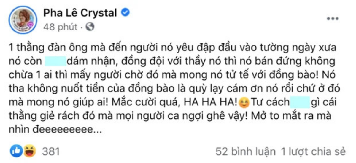 Pha Lê tiếp tục đăng đàn đầy ẩn ý, nhắc đến 'ai đó': 'Sau mùa lũ tự nhiên giàu' Ảnh 4