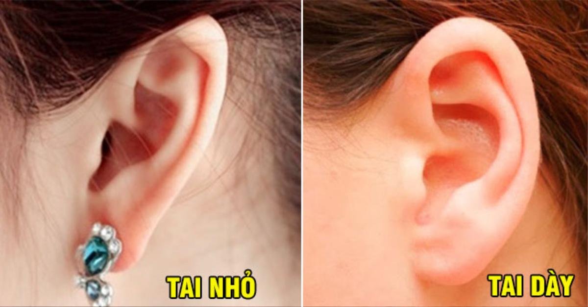 Phú quý hay bần tiện, liếc qua tai là biết, bạn có kiểu tai như thế nào? Ảnh 1