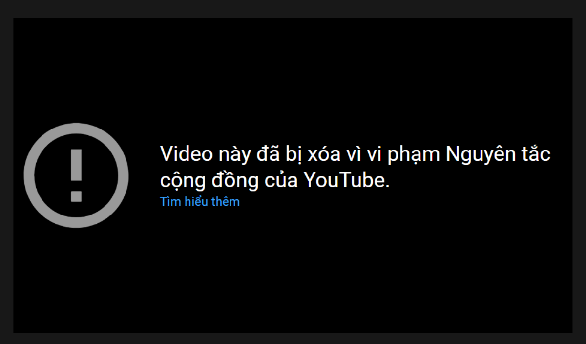 Con trai Hòa Minzy vi phạm 'quy tắc cộng đồng' của YouTube, bị xóa luôn vlog trong 'một nốt nhạc' Ảnh 3