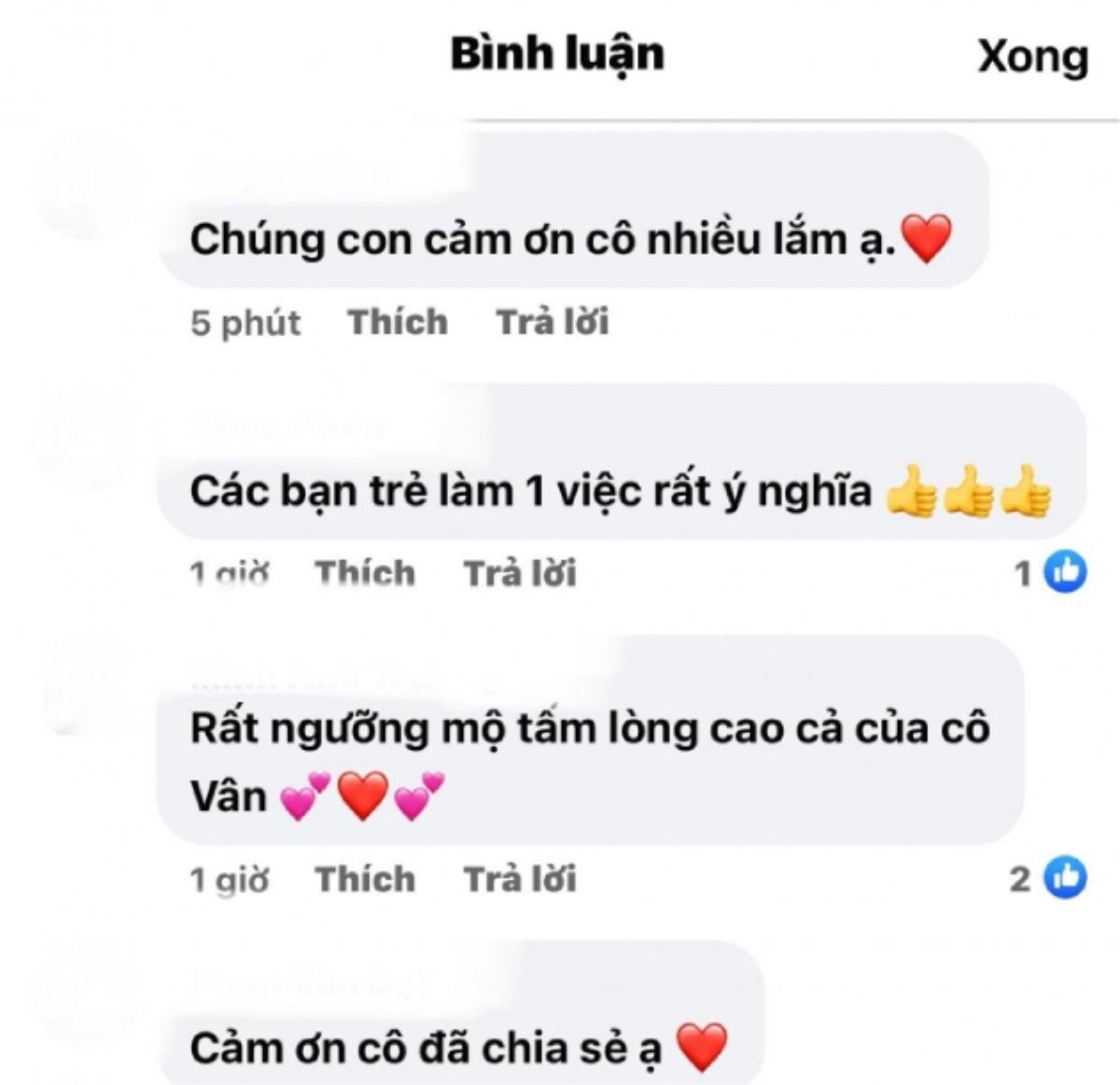 NSND Hồng Vân gây tranh cãi khi chia sẻ về chiến dịch gây quỹ tại Sài Gòn Ảnh 5