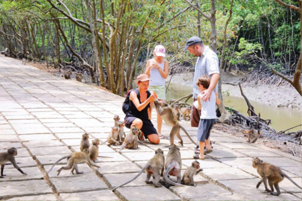 Cần Giờ chuẩn bị đón khách du lịch, hãy bỏ túi ngay những địa điểm vui chơi không thể bỏ qua Ảnh 6