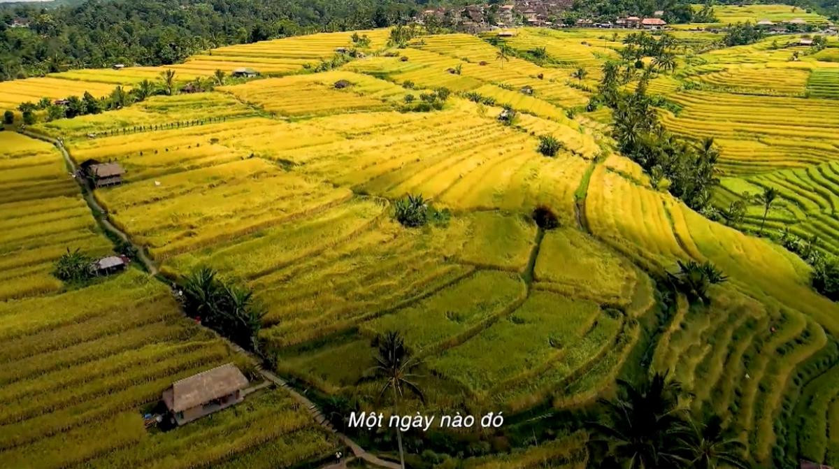 Han Sara cùng ê-kíp làm việc xuyên đêm, cho ra lò bản mashup khiến Nguyễn Hải Phong phải tự hào Ảnh 4