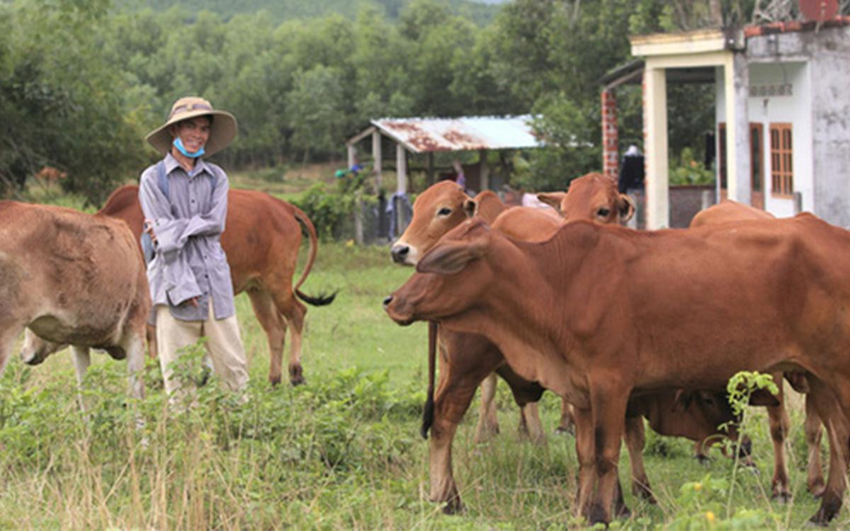 Soytiet lần đầu khoe phòng trọ sống cùng bạn gái, tiết lộ cuộc sống hiện tại Ảnh 1