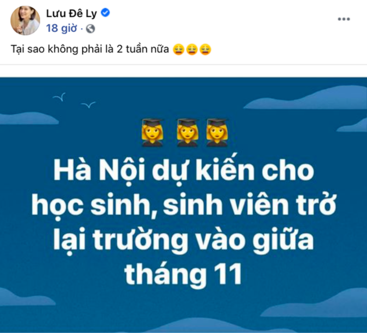 Lưu Đê Ly thẳng thắn đáp trả khi có người chỉ trích: 'Làm mẹ không ai thế đâu' Ảnh 1