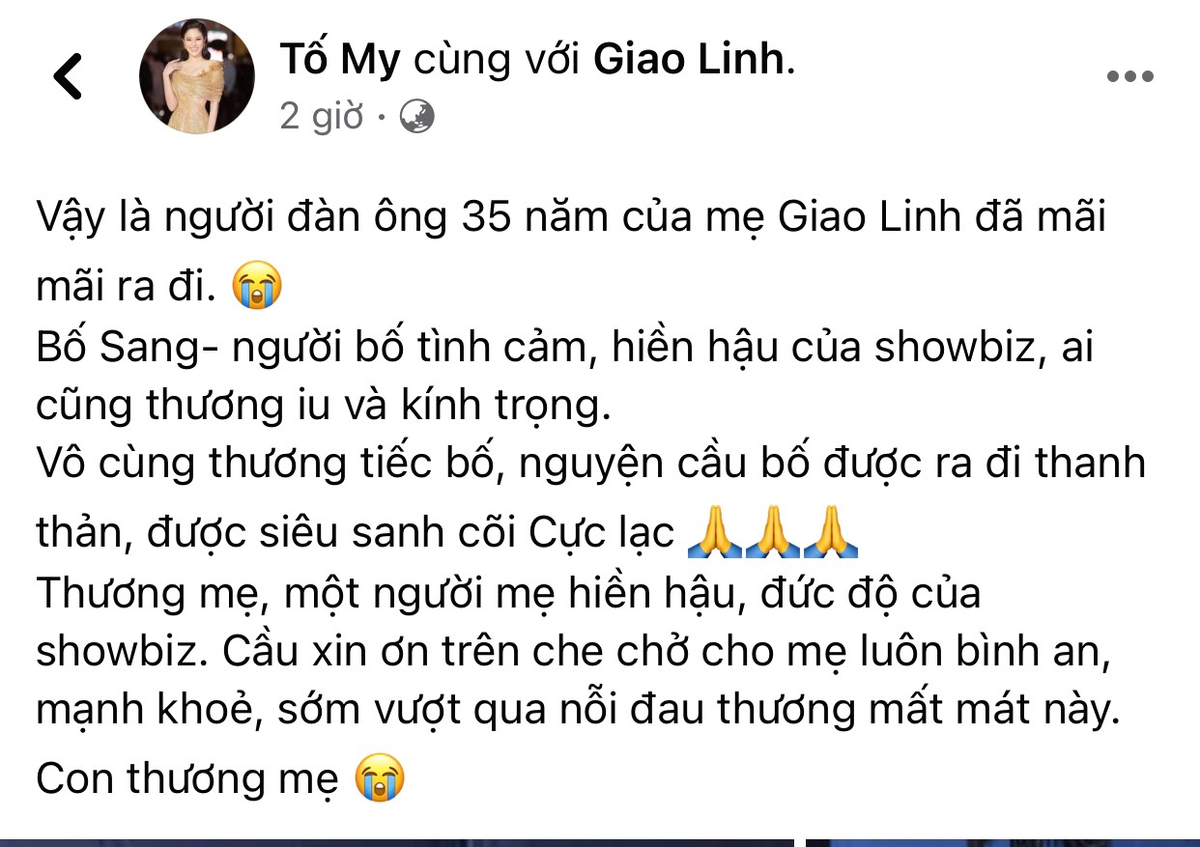 Nghệ sĩ Việt chia buồn trước sự ra đi của ông xã danh ca Giao Linh: 'Giờ anh đi xa, bỏ lại chị đơn lẻ' Ảnh 3