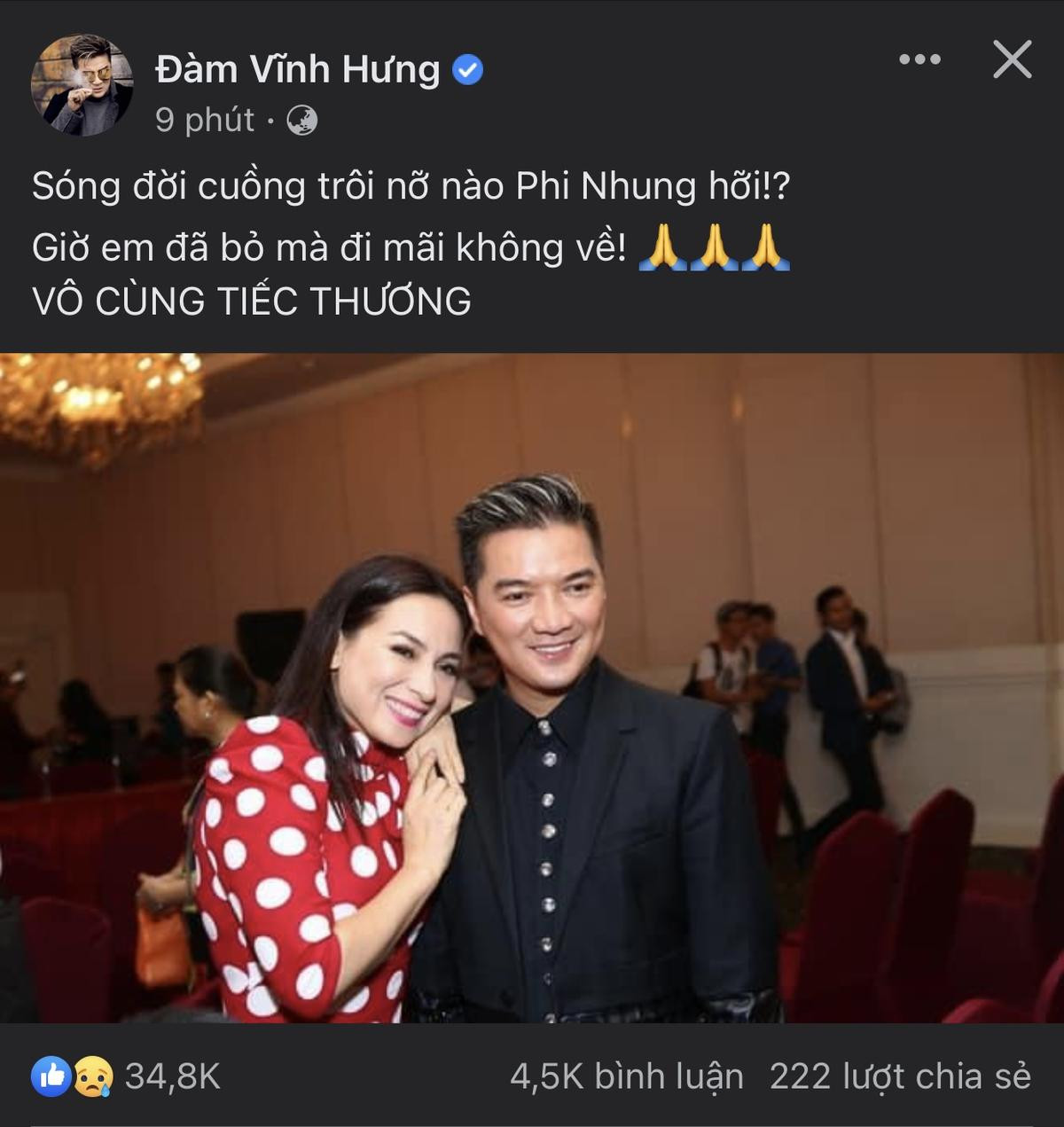 Đàm Vĩnh Hưng mượn lời ca khúc Sông quê nhắn gửi Phi Nhung: 'Giờ em đã bỏ mà đi mãi không về' Ảnh 2