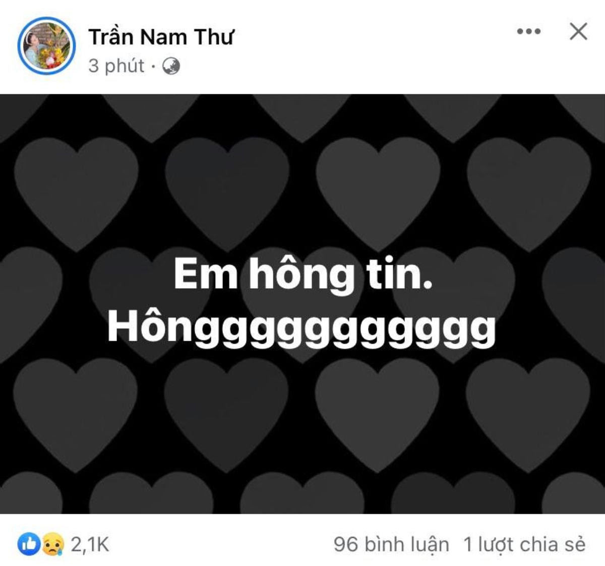 Con gái ruột Phi Nhung có động thái đầu tiên sau tin buồn mẹ qua đời Ảnh 4