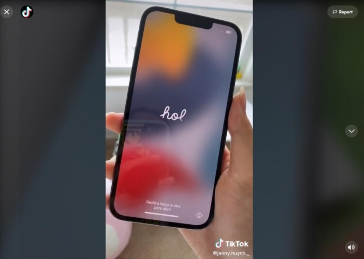 'Rich Kid' Jenny Huynh đập hộp iPhone 13 Pro Max Ảnh 2