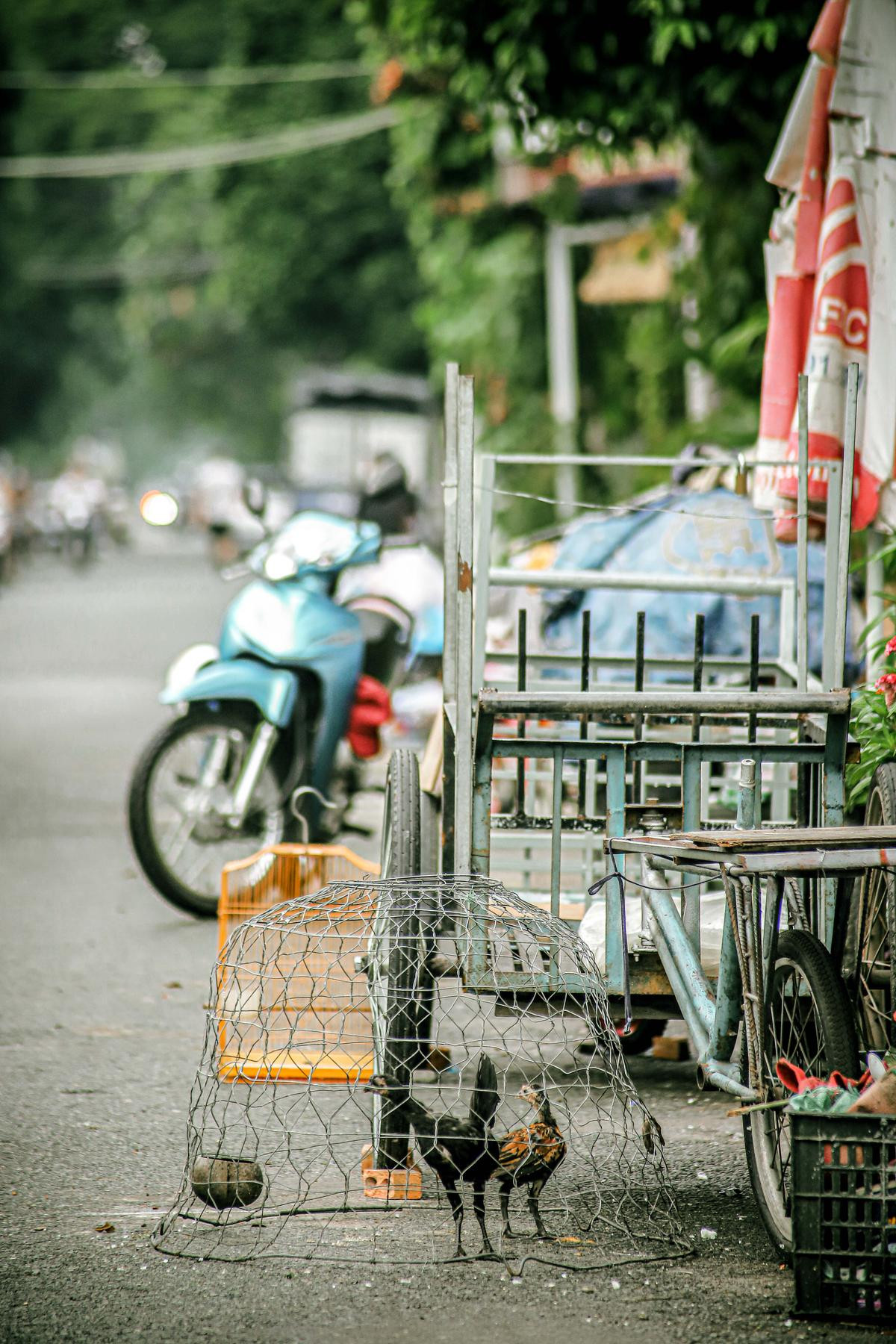 Có một Sài Gòn rất khác trong trạng thái... bình thường mới Ảnh 3