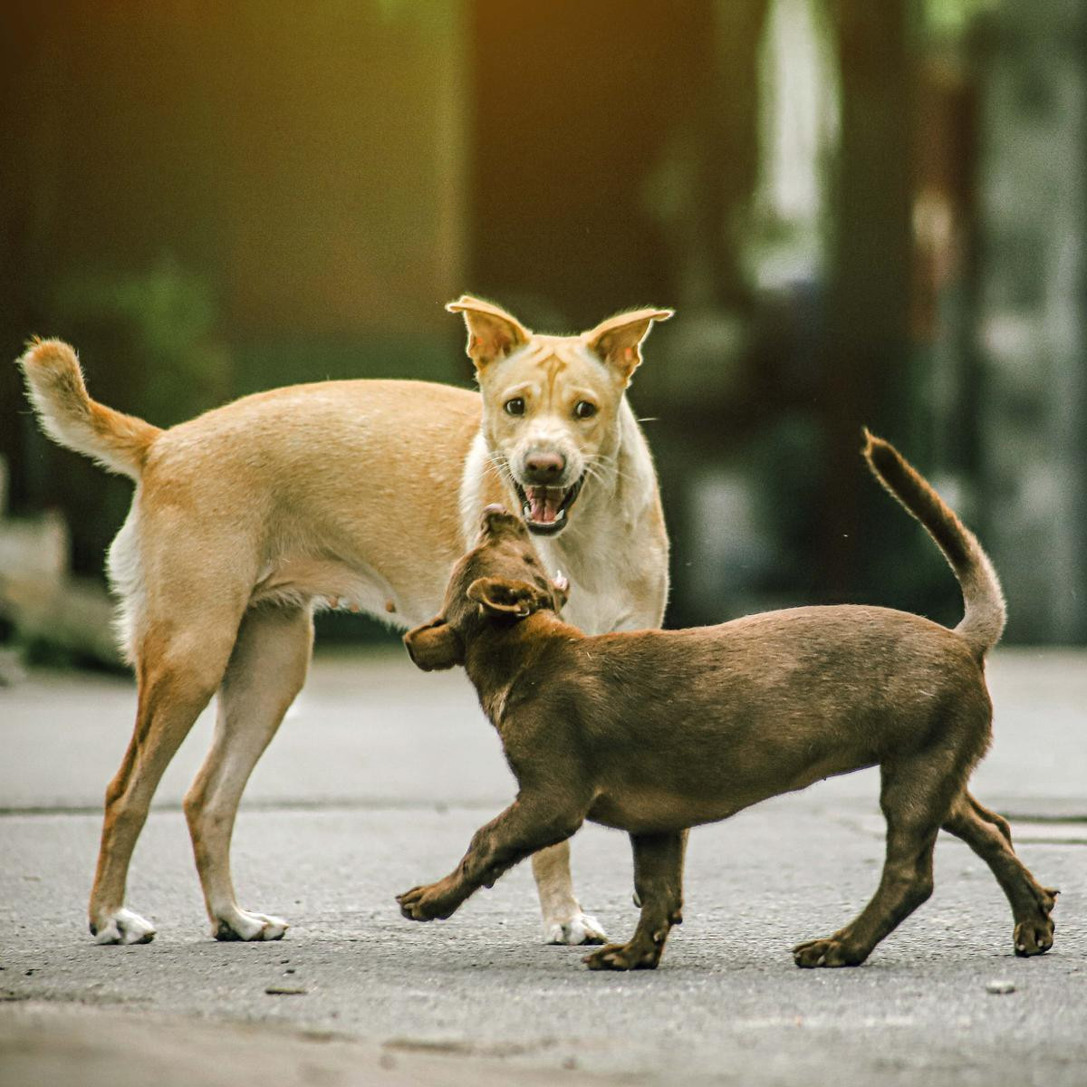 Có một Sài Gòn rất khác trong trạng thái... bình thường mới Ảnh 19