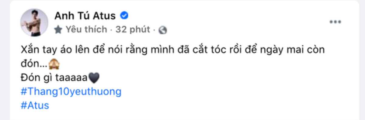 Anh Tú tung 'hint' đón tin vui, fan nhanh nhảu sắp khoe con đầu lòng với Diệu Nhi? Ảnh 1