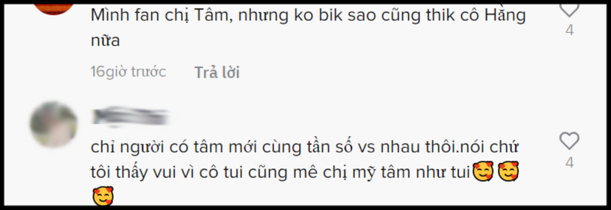 Hành động cho thấy Mỹ Tâm là nữ ca sĩ rất được CEO Đại Nam yêu thích Ảnh 8