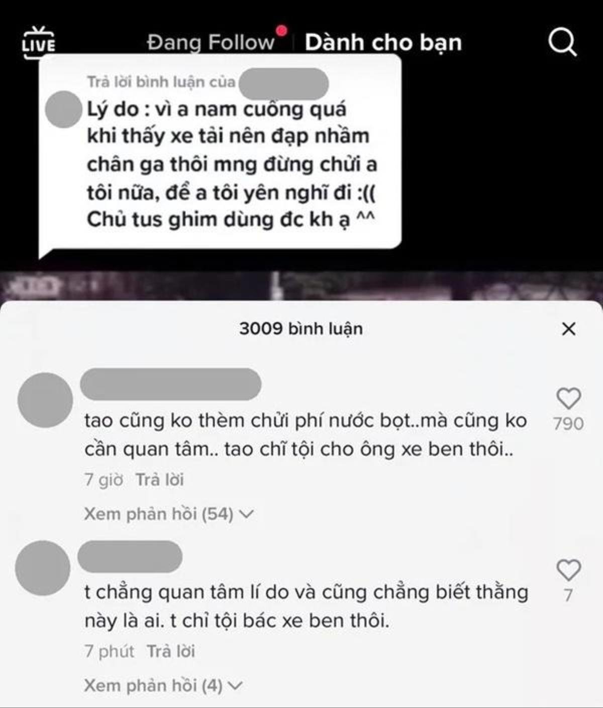 Bạn gái Nam OK phản ứng gay gắt khi netizen bênh vực tài xế xe tải Ảnh 2