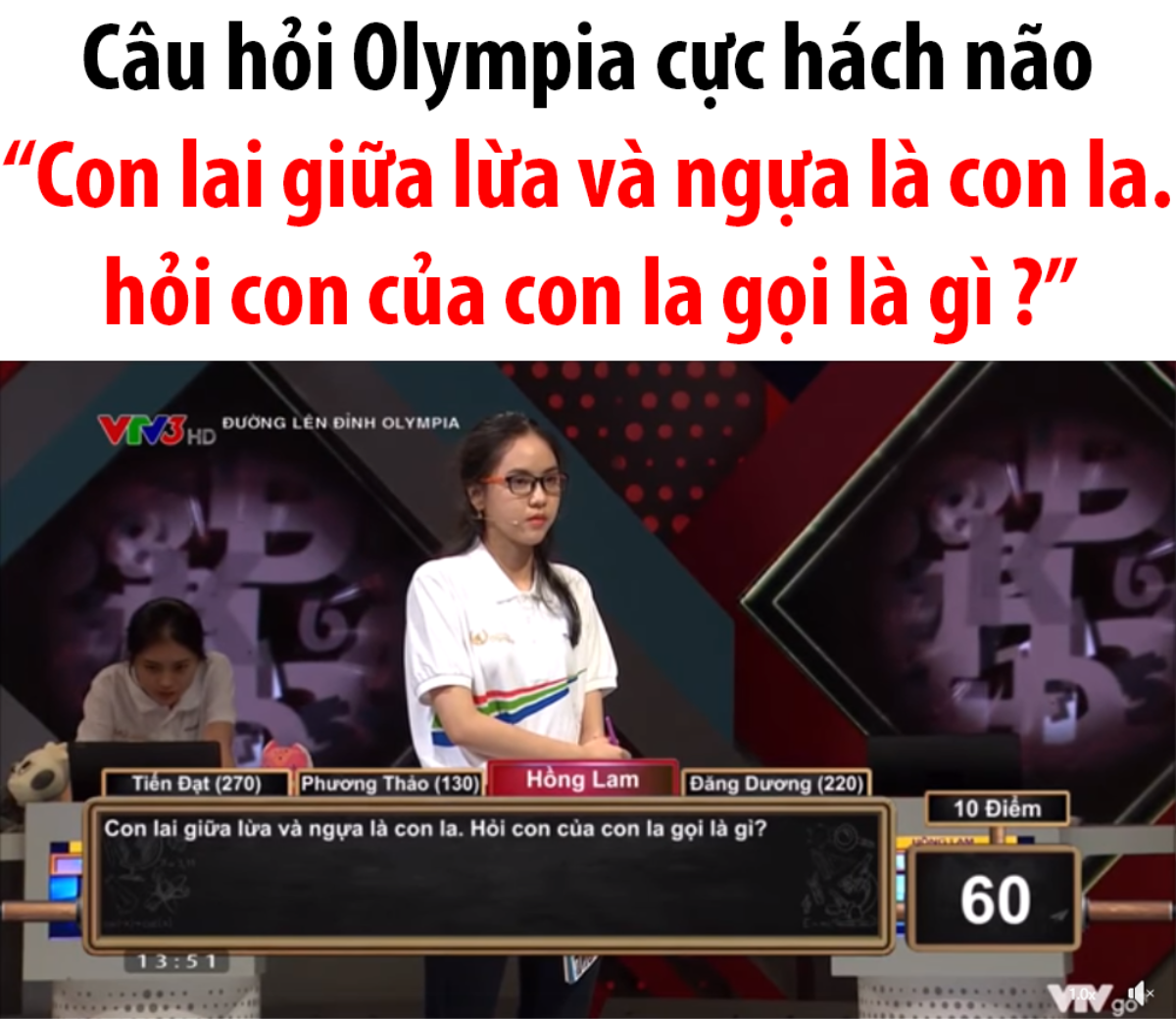 Câu hỏi 'xoắn não' tại Đường lên đỉnh Olympia khiến nhiều người ngỡ ngàng sau khi biết đáp án Ảnh 1