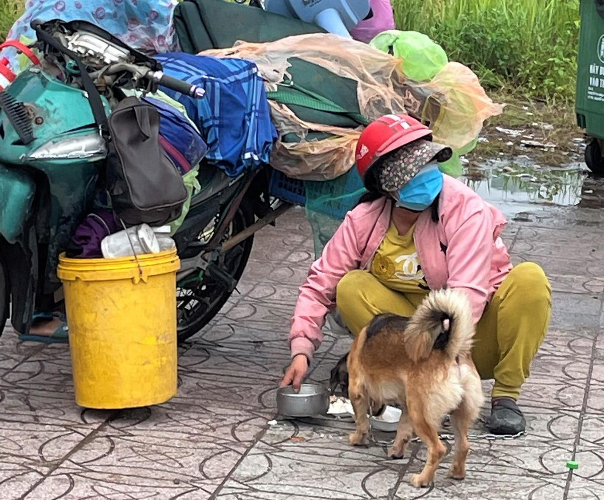 Thông tin mới nhất về vụ tiêu hủy đàn chó ở Cà Mau: 'Do áp lực từ nhiều phía' Ảnh 3