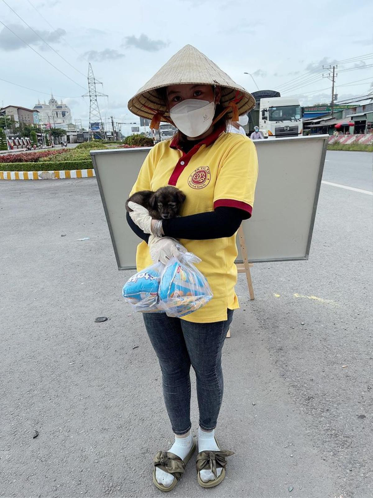 Vụ đàn chó bị tiêu hủy: Chú chó may mắn sống sót được đặt tên Tu Di, khỏe mạnh và ăn uống tốt Ảnh 1