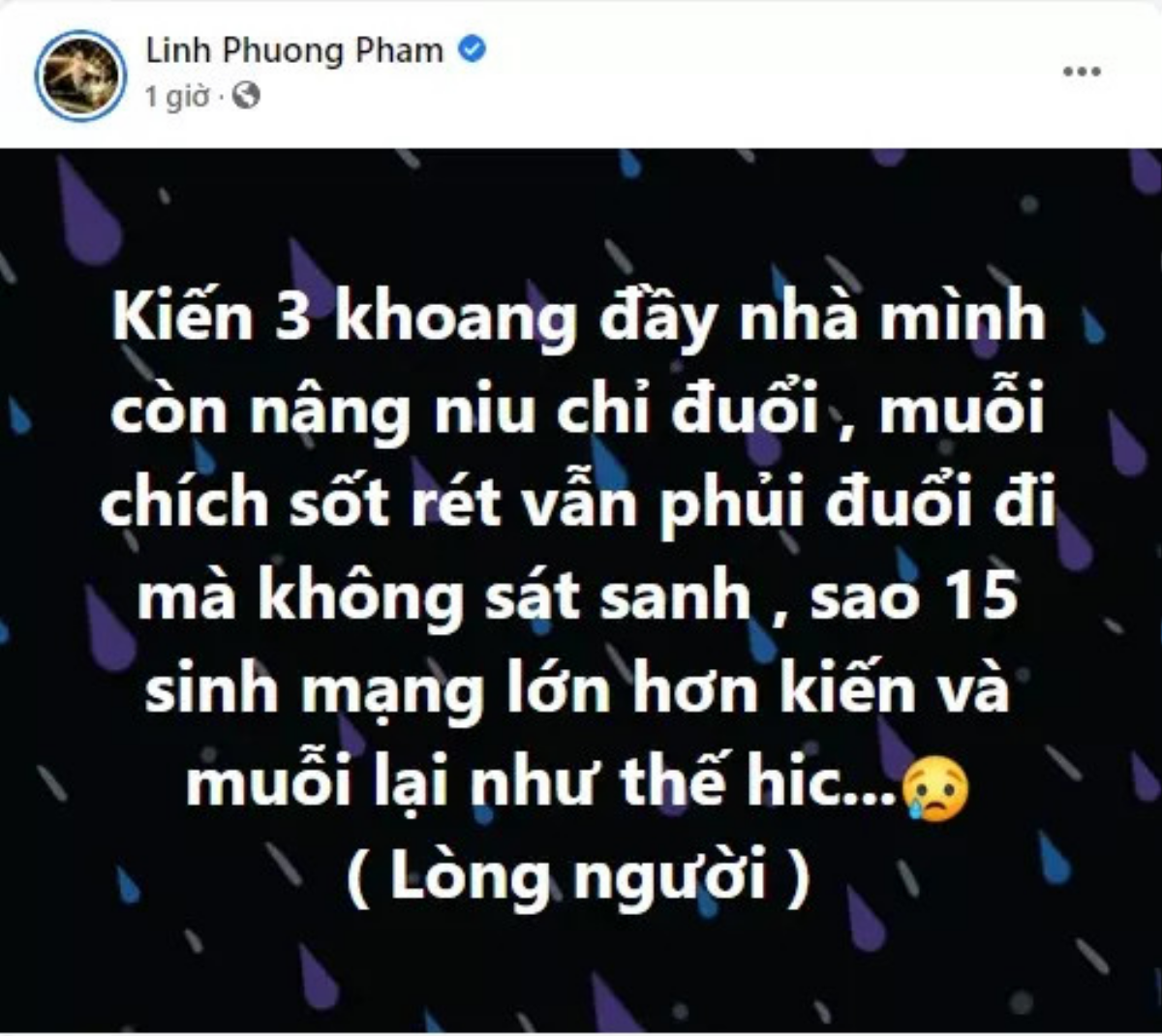 'Bạn trai đồn đoán' của Nhật Kim Anh 'nổi đóa' khi bị mỉa mai chuyện sát sinh Ảnh 1