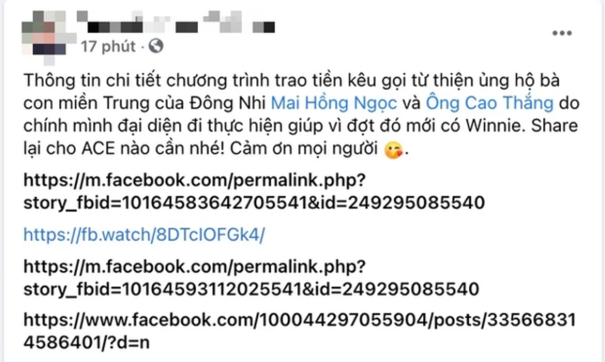 CEO Đại Nam tuyên bố sẽ thống kê hết tất cả các tài khoản đã kêu gọi quyên góp từ thiện để gửi lên Bộ CA Ảnh 2