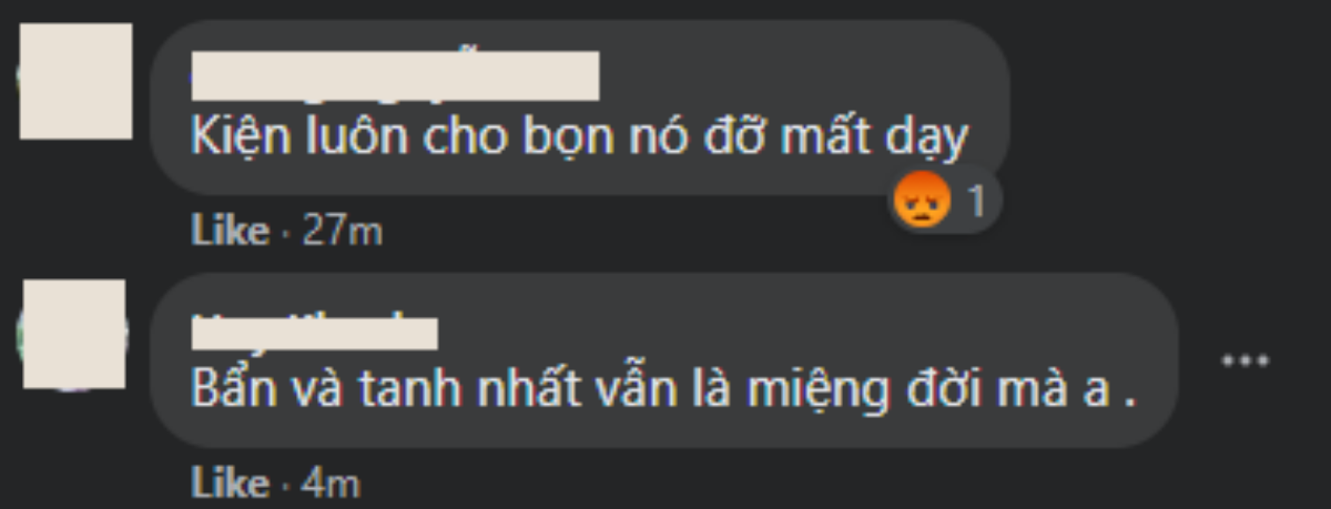 Long Nhật ẩn ý chấm dứt ồn ào đấu tố, khán giả khuyên nên kiện để lấy lại danh dự Ảnh 3