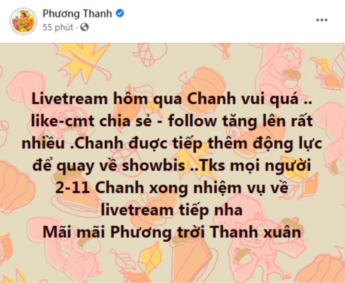 Sau 10 năm 'giã từ', Phương Thanh hé lộ kế hoạch quay trở lại showbiz Ảnh 2