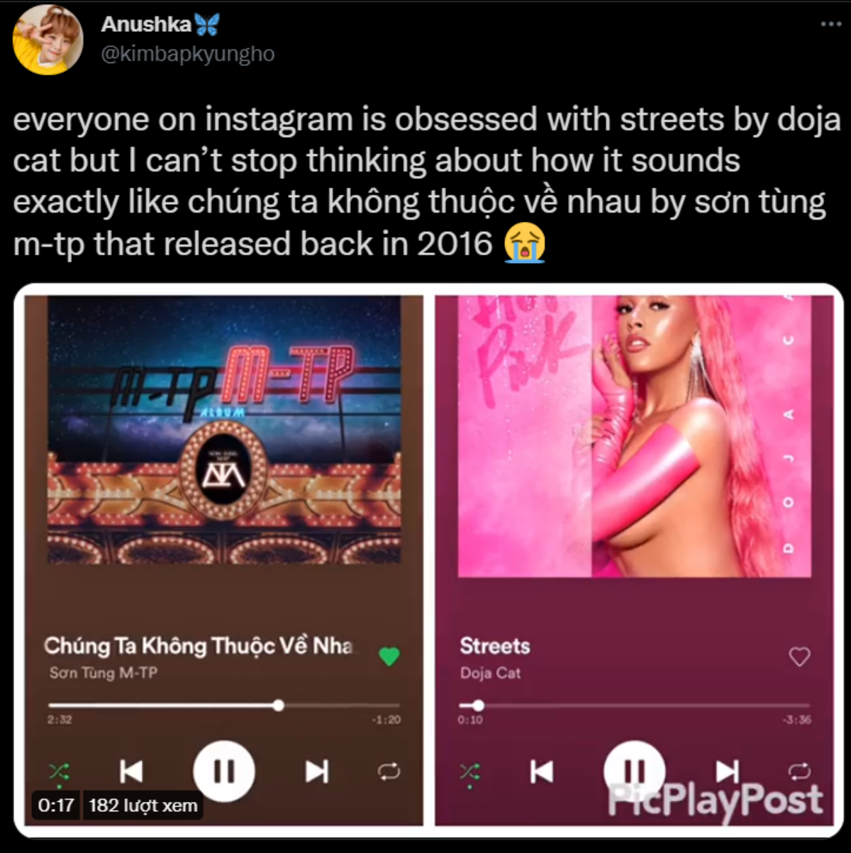 Netizen quốc tế bất ngờ thấy Streets của Doja Cat nghe 'hao hao' hit của Sơn Tùng, còn có cả clip so sánh Ảnh 4