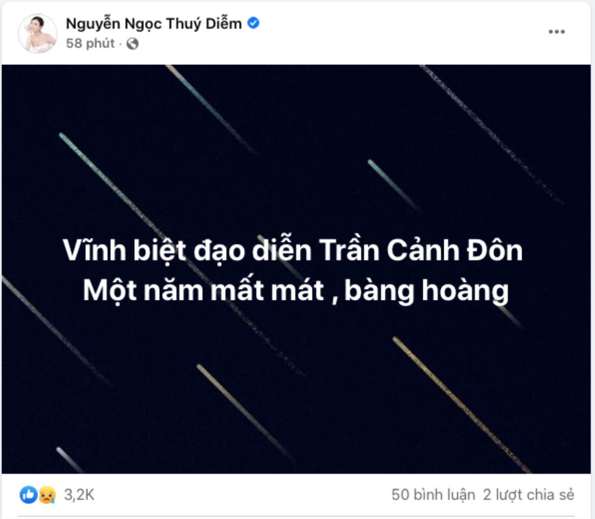 Sao Việt đau buồn khi hay tin đạo diễn 'Đô la trắng' Trần Cảnh Đôn từ trần Ảnh 5