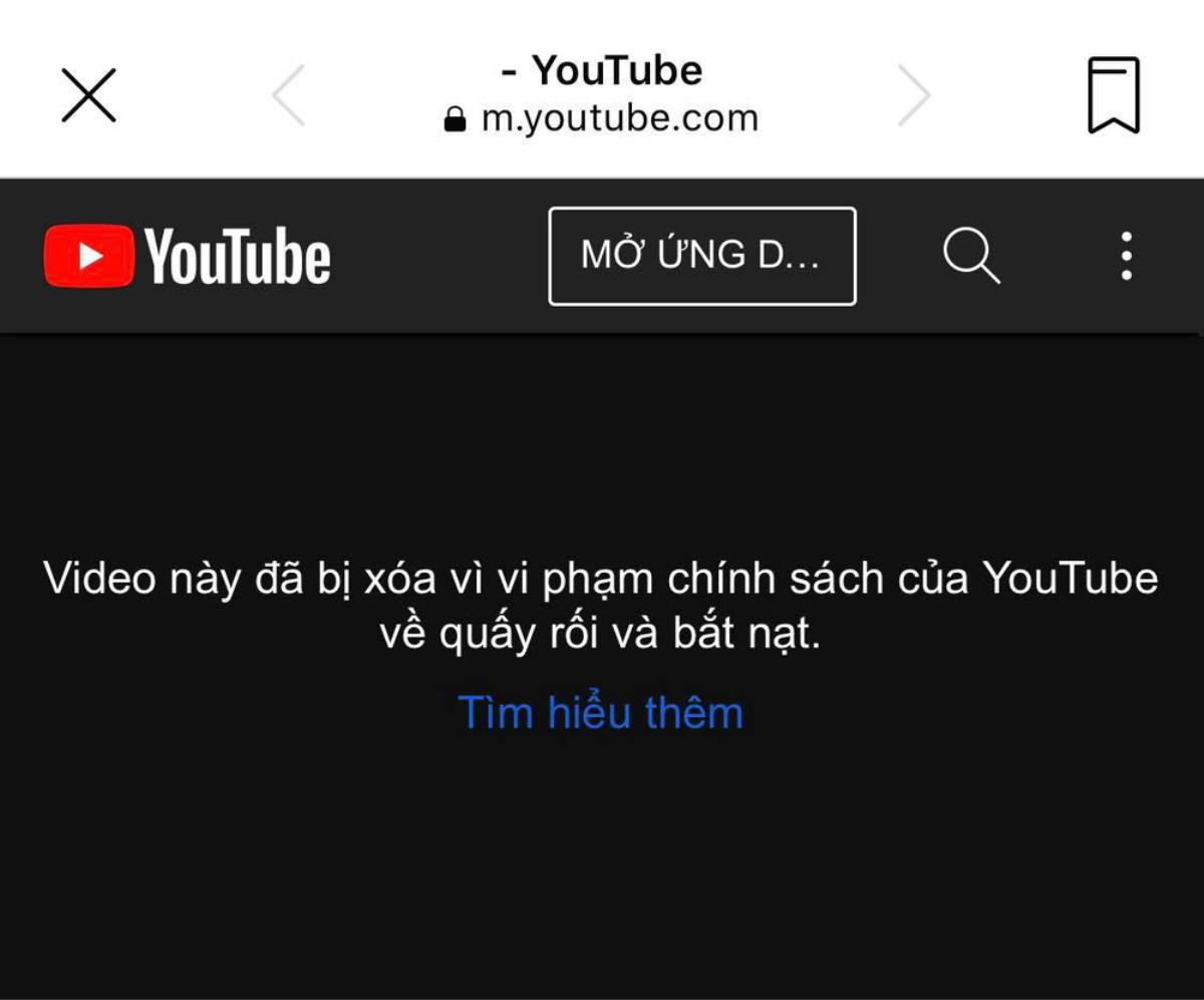 Video của ông Lê Tùng Vân 'bốc hơi' khỏi Youtube sau màn tuyên bố cho 20 tỷ của bà Nguyễn Phương Hằng Ảnh 4