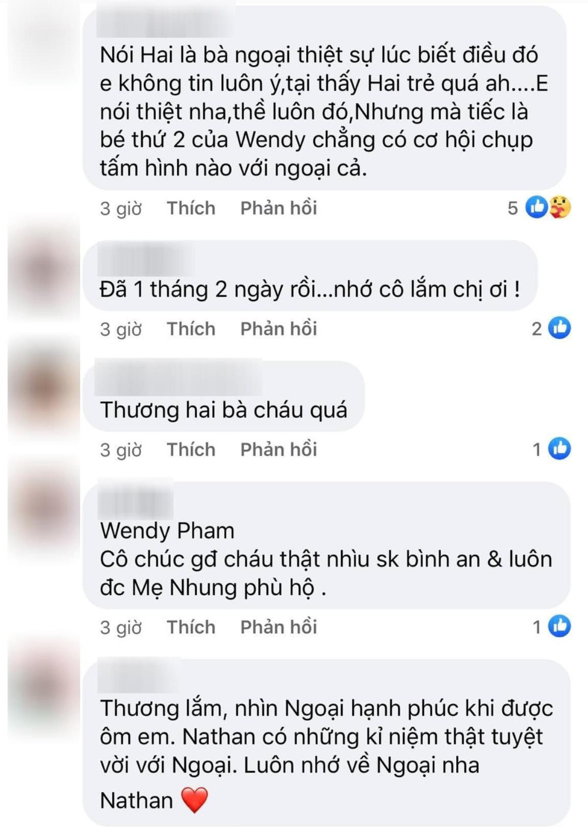 Wendy Phạm hé lộ hình ảnh hiếm của con trai bên bà ngoại Phi Nhung Ảnh 4