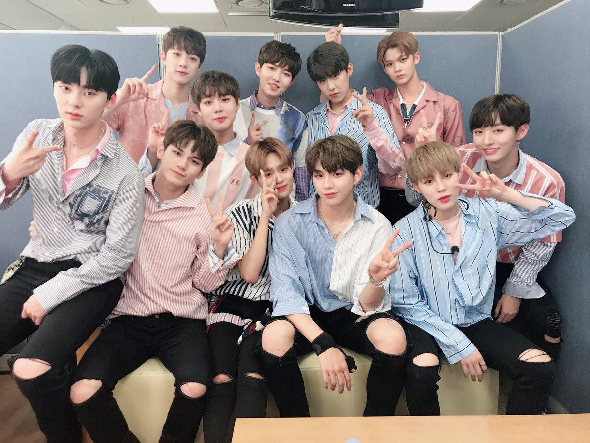 Wanna One chuẩn bị tái hợp, phát hành cả album và tổ chức luôn concert? Ảnh 5