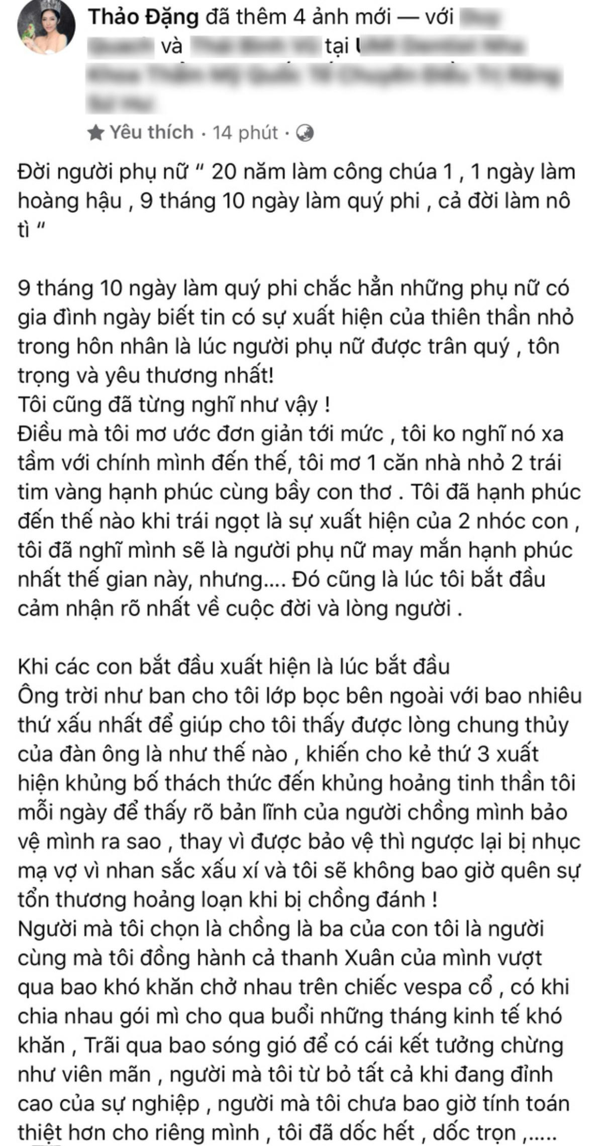 Danh tính chồng Hoa hậu Đặng Thu Thảo là ai mà khi ly hôn khiến dân tình phải tò mò? Ảnh 6