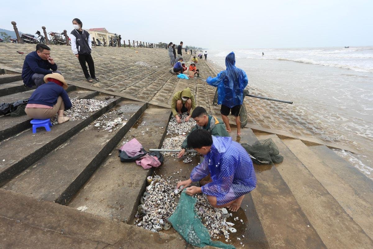 Hà Tĩnh: Người dân hồ hởi đổ xô đi vớt 'lộc trời' bị sóng đánh dạt vào bờ Ảnh 4