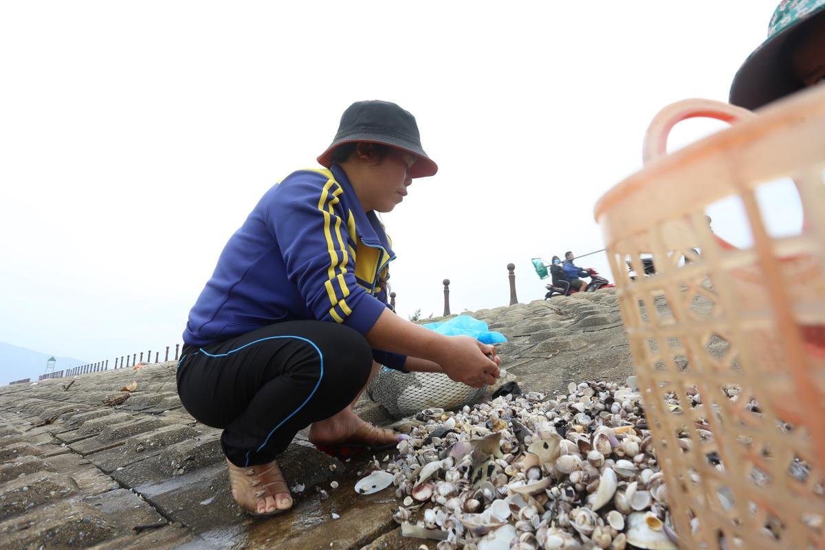 Hà Tĩnh: Người dân hồ hởi đổ xô đi vớt 'lộc trời' bị sóng đánh dạt vào bờ Ảnh 8