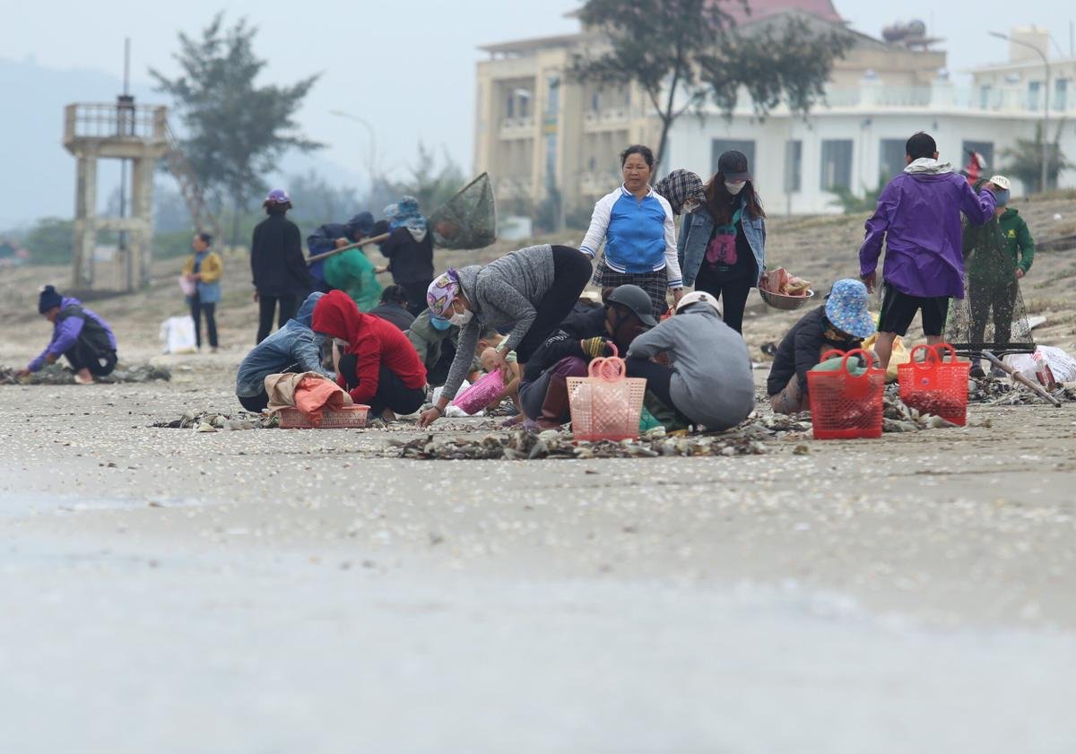 Hà Tĩnh: Người dân hồ hởi đổ xô đi vớt 'lộc trời' bị sóng đánh dạt vào bờ Ảnh 3