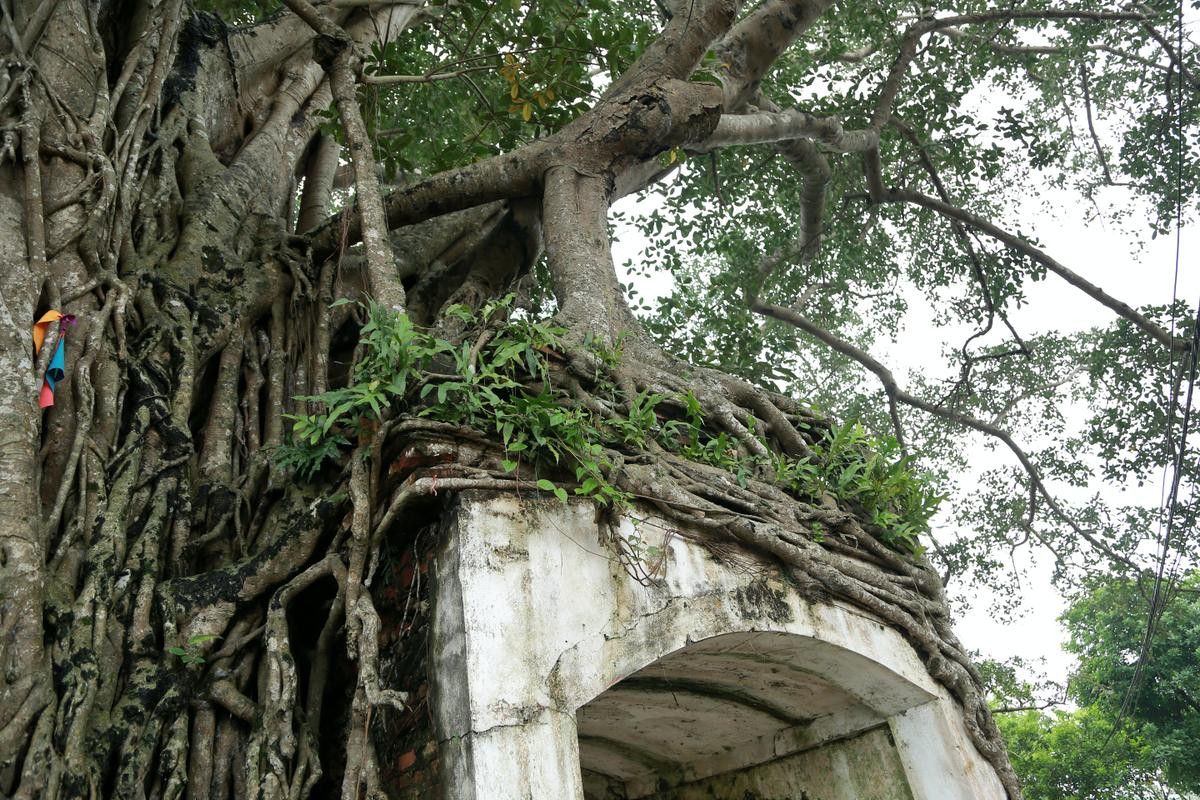 Chiếc cổng làng siêu cổ kính 'độc nhất vô nhị', ai đi xa cũng muốn trở về chốn yên bình giữa lòng Hà Nội Ảnh 9