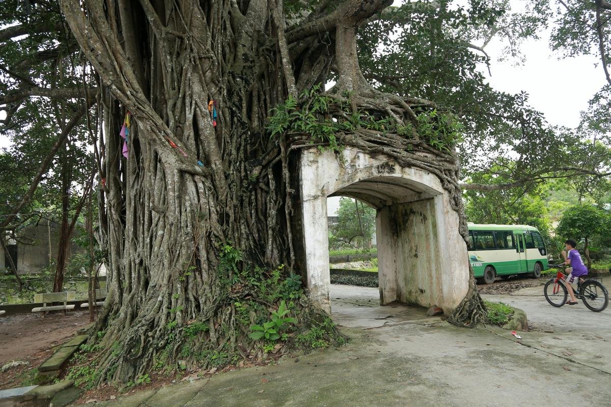 Chiếc cổng làng siêu cổ kính 'độc nhất vô nhị', ai đi xa cũng muốn trở về chốn yên bình giữa lòng Hà Nội Ảnh 1