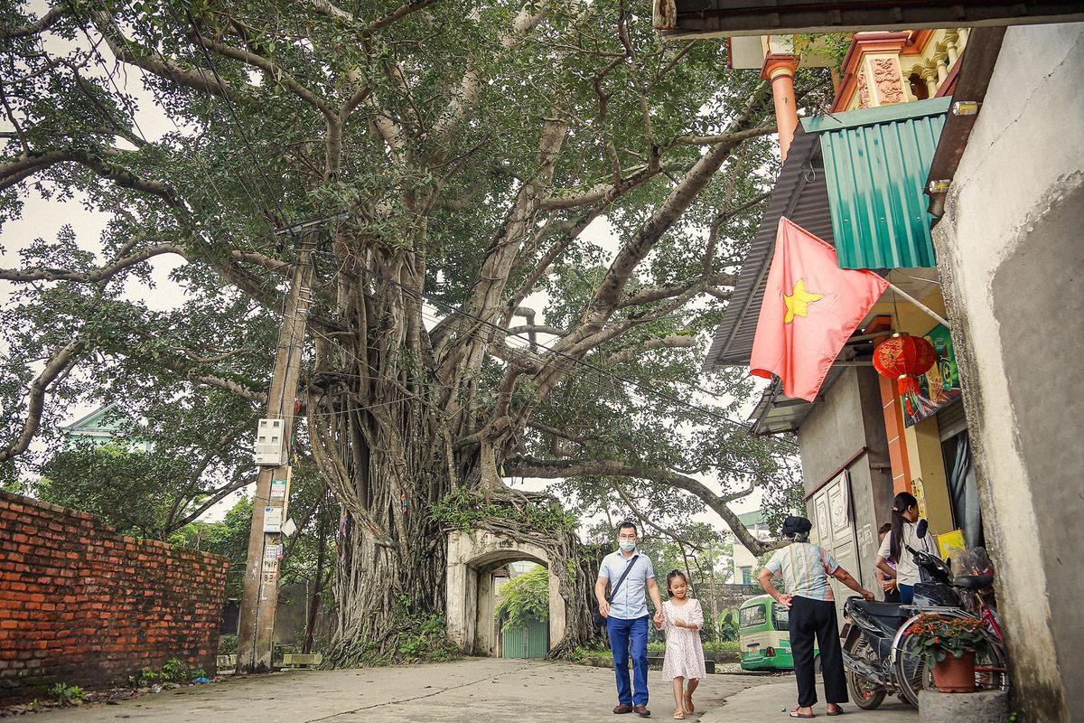 Chiếc cổng làng siêu cổ kính 'độc nhất vô nhị', ai đi xa cũng muốn trở về chốn yên bình giữa lòng Hà Nội Ảnh 7