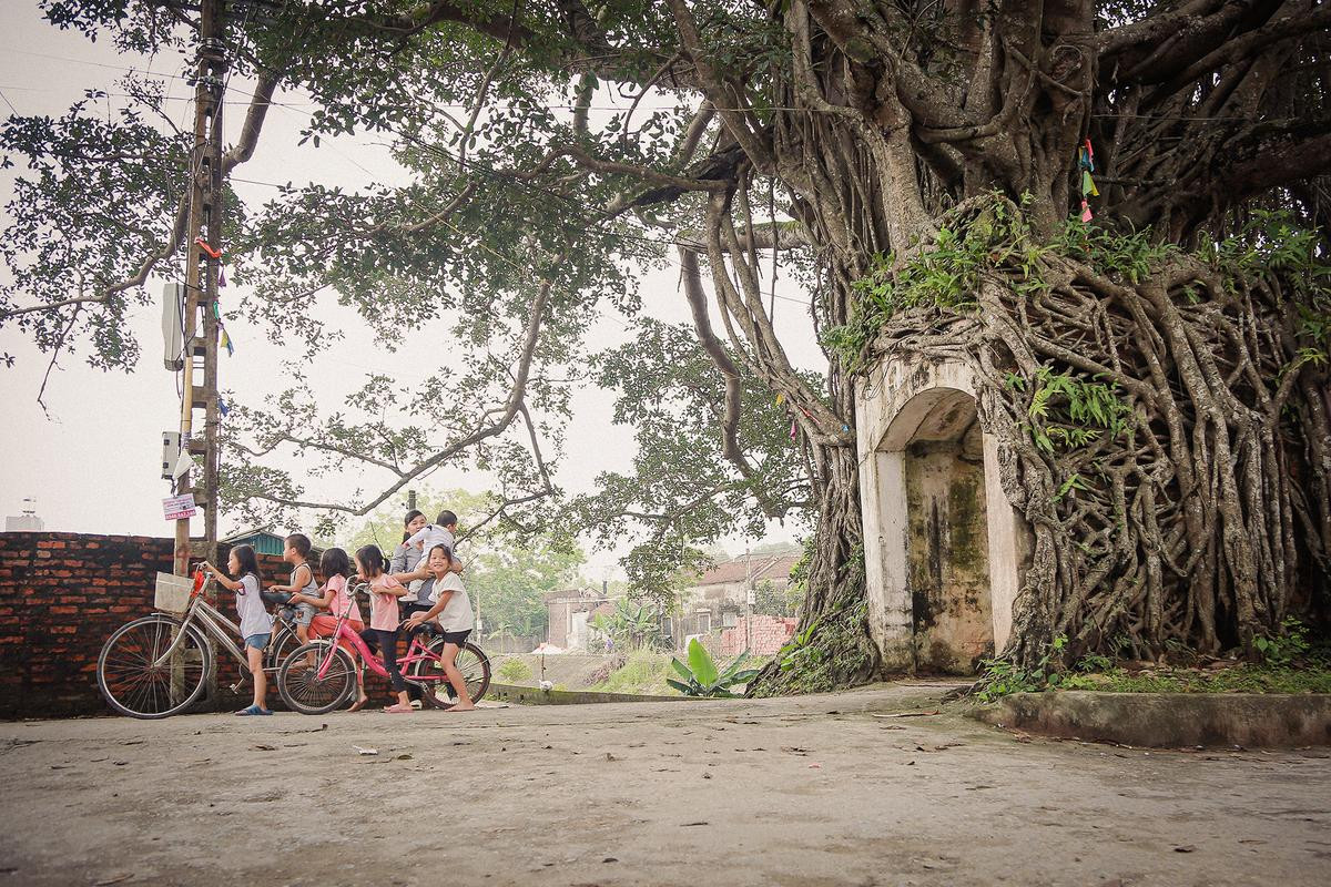 Chiếc cổng làng siêu cổ kính 'độc nhất vô nhị', ai đi xa cũng muốn trở về chốn yên bình giữa lòng Hà Nội Ảnh 6