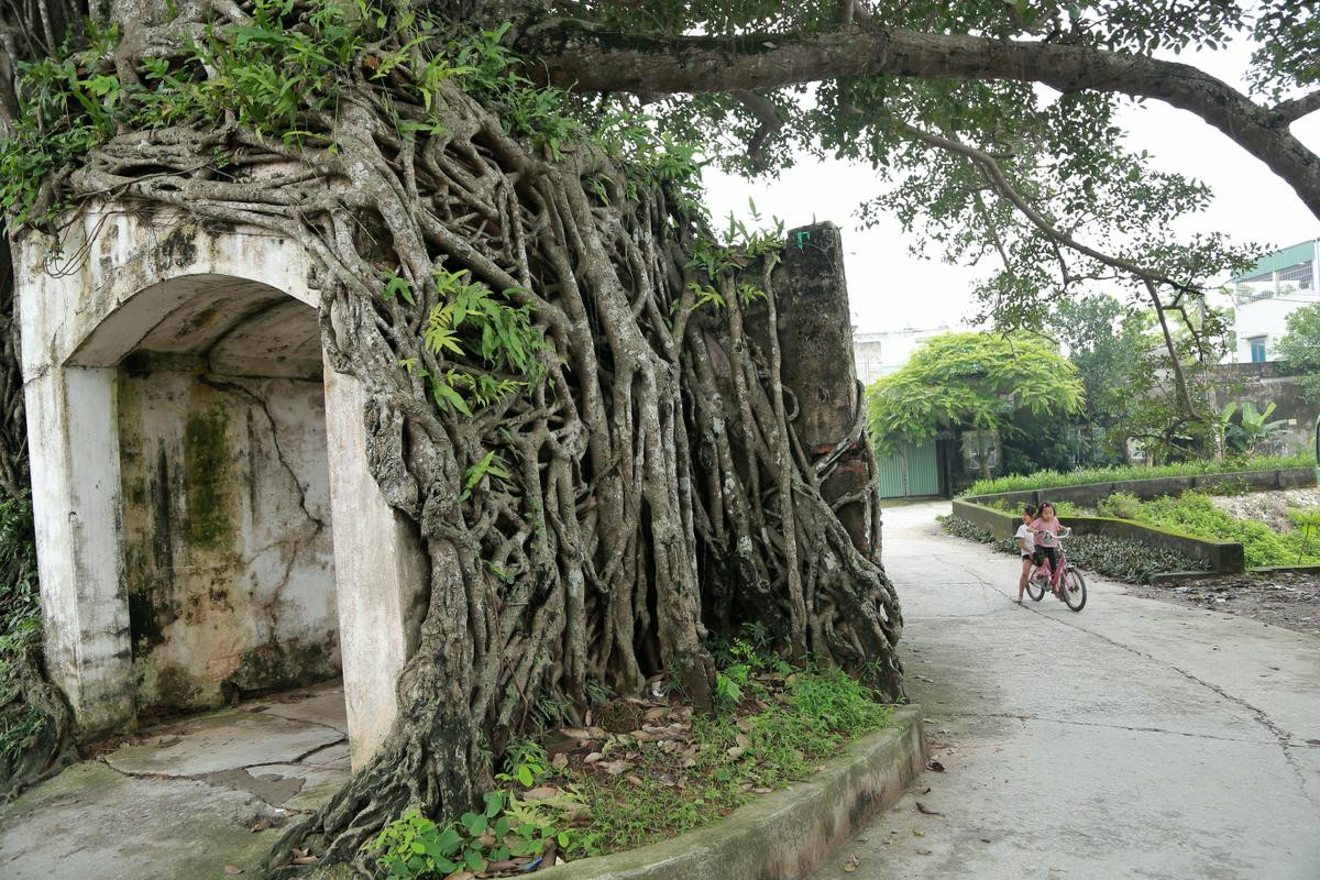 Chiếc cổng làng siêu cổ kính 'độc nhất vô nhị', ai đi xa cũng muốn trở về chốn yên bình giữa lòng Hà Nội Ảnh 16