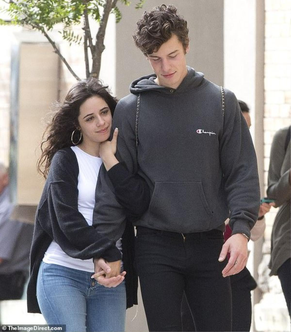 Bộ đôi 'Señorita' Camila Cabello và Shawn Mendes chia tay sau 2 năm hẹn hò nồng thắm Ảnh 5