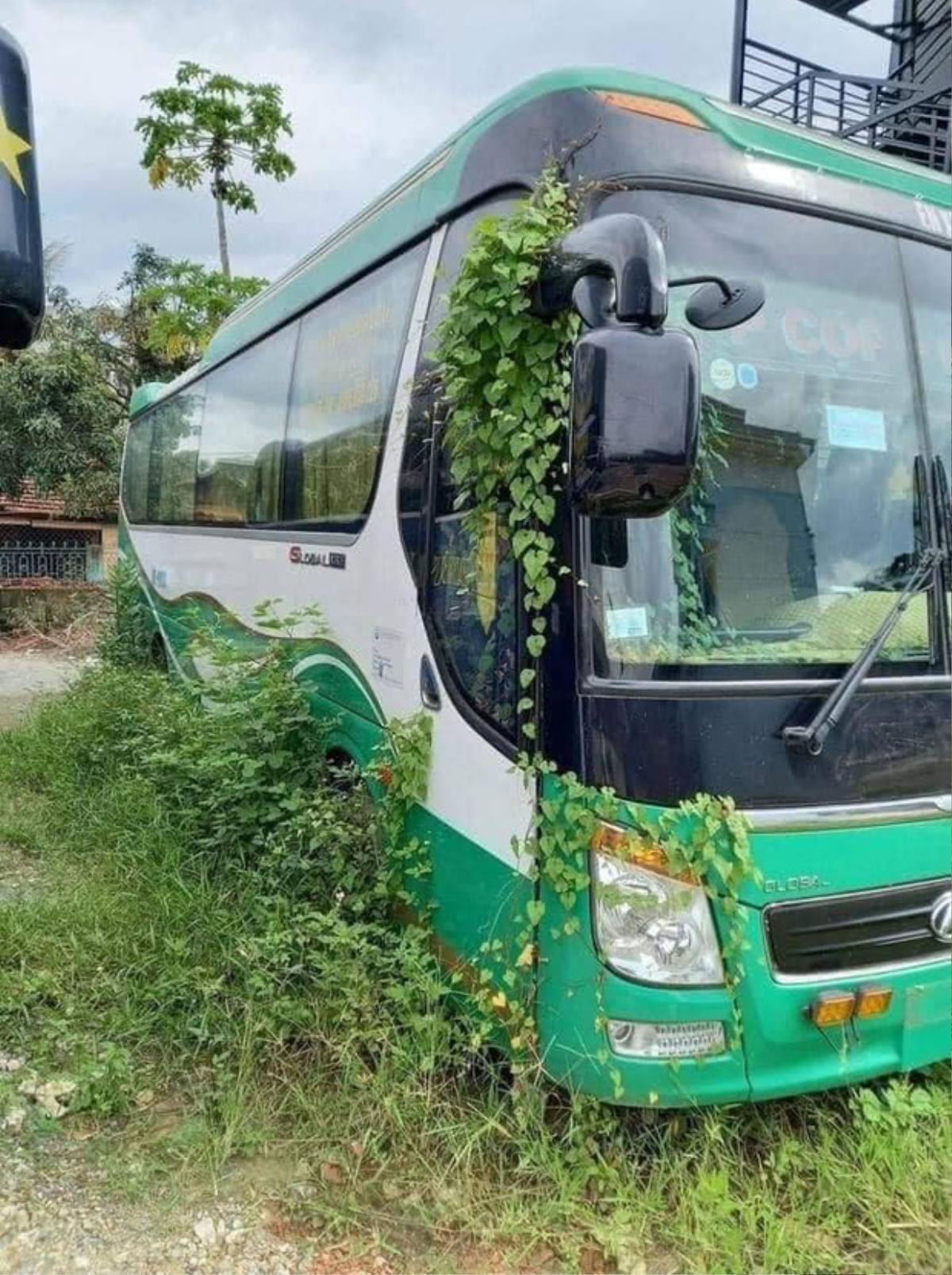 Nửa năm quay lại dọn dẹp chiếc ô tô du lịch, bác tài được phen 'há hốc miệng' với thứ kẹt ở bánh xe Ảnh 1