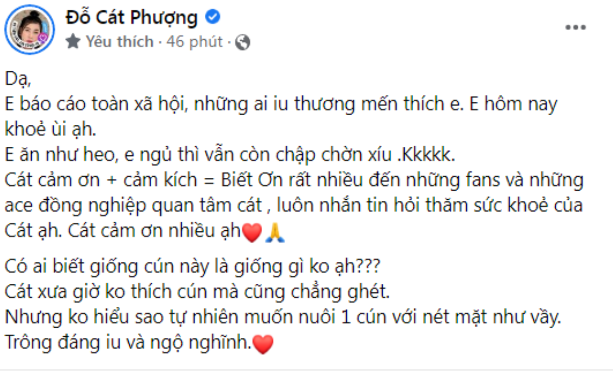 Cát Phượng thông báo tình hình sức khỏe đã ổn và muốn làm việc này ngay sau khi khỏe lại Ảnh 4