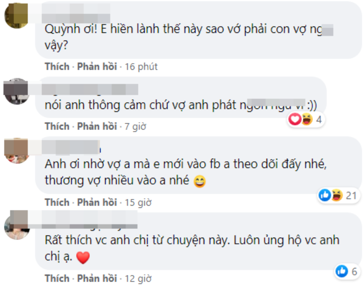 Phan Mạnh Quỳnh vô cớ nhận 'gạch đá' chỉ vì bài đăng của bà xã về 'trà xanh' Ảnh 4