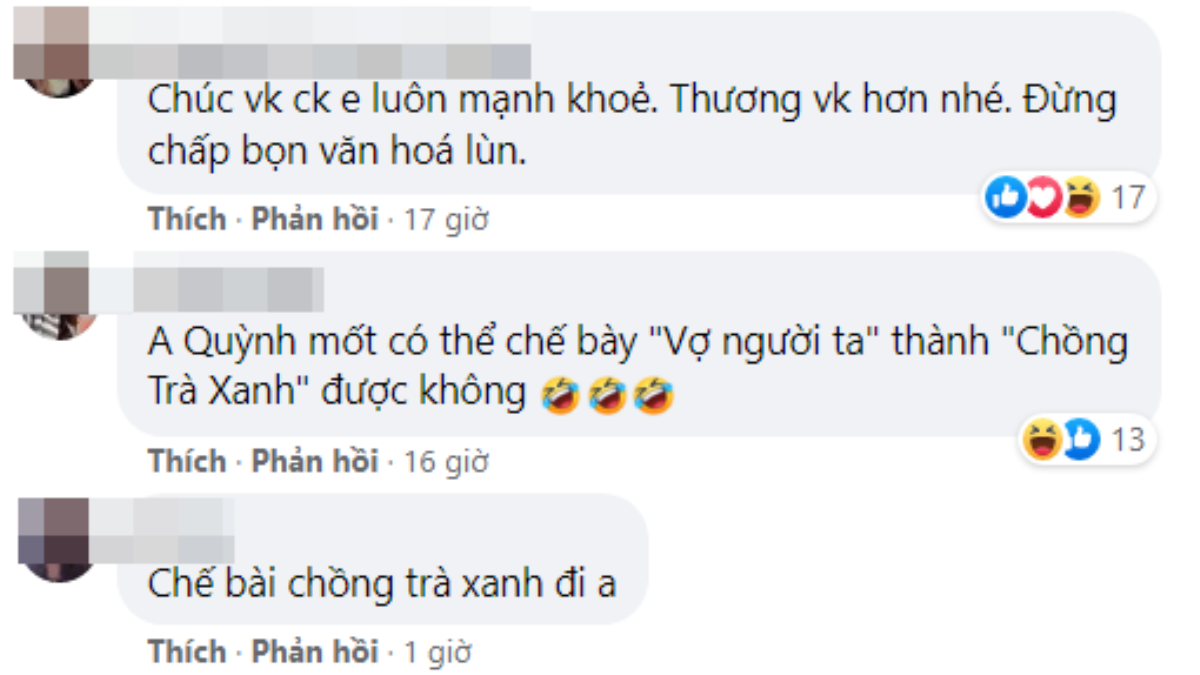 Phan Mạnh Quỳnh vô cớ nhận 'gạch đá' chỉ vì bài đăng của bà xã về 'trà xanh' Ảnh 5