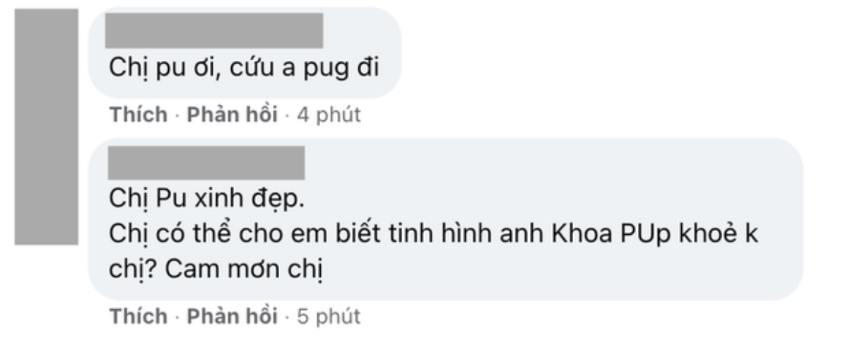 Netizen đồng loạt yêu cầu Chi Pu giải cứu Khoa Pug Ảnh 3